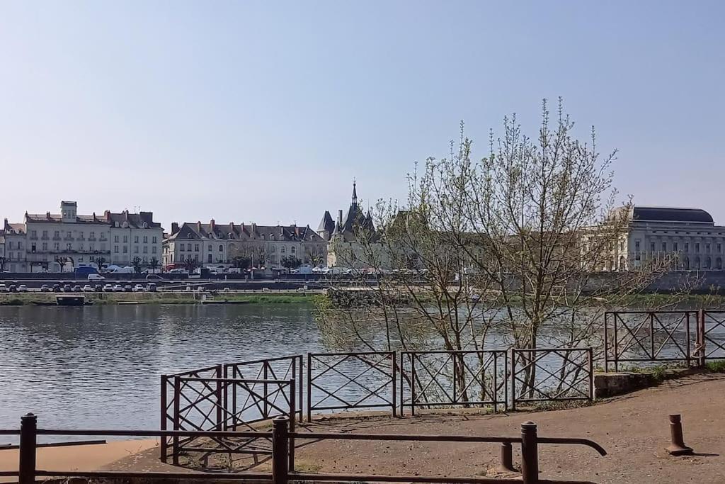 Les Marronniers Appartement Centre Saumur Bord De Loire Zewnętrze zdjęcie