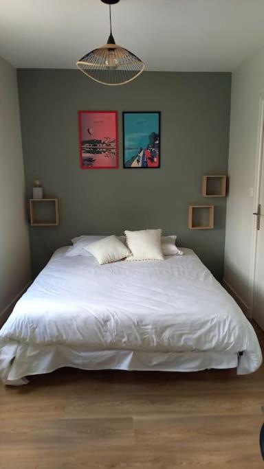 Les Marronniers Appartement Centre Saumur Bord De Loire Zewnętrze zdjęcie